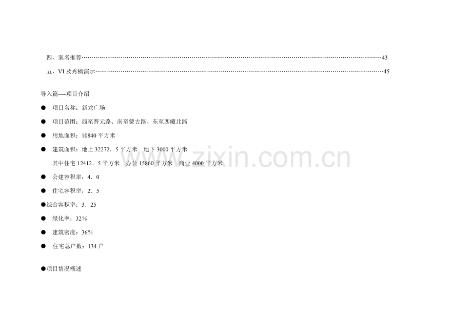 广场前期营销策划报告样本.doc_第2页