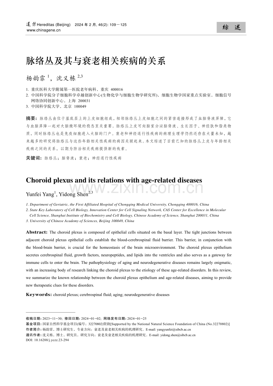 脉络丛及其与衰老相关疾病的关系.pdf_第1页