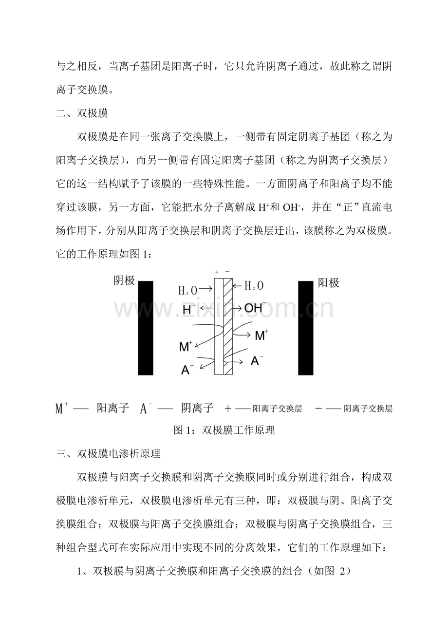 双极膜的应用与展望.doc_第3页