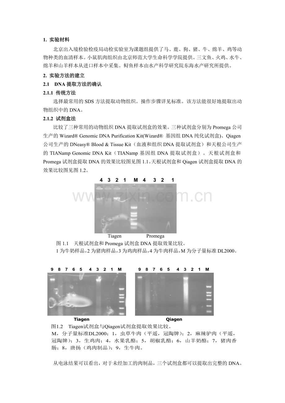 行业标准出口动物源性食品中动物种类的定性检测TRFLP方法编制.doc_第3页