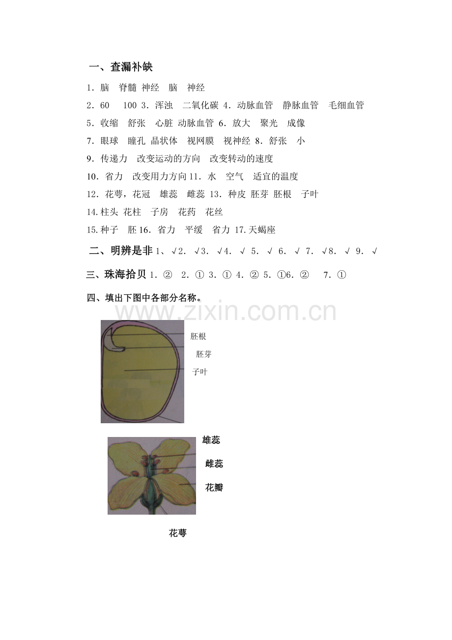 青岛版五年级科学下册期末试题一及答案.doc_第3页