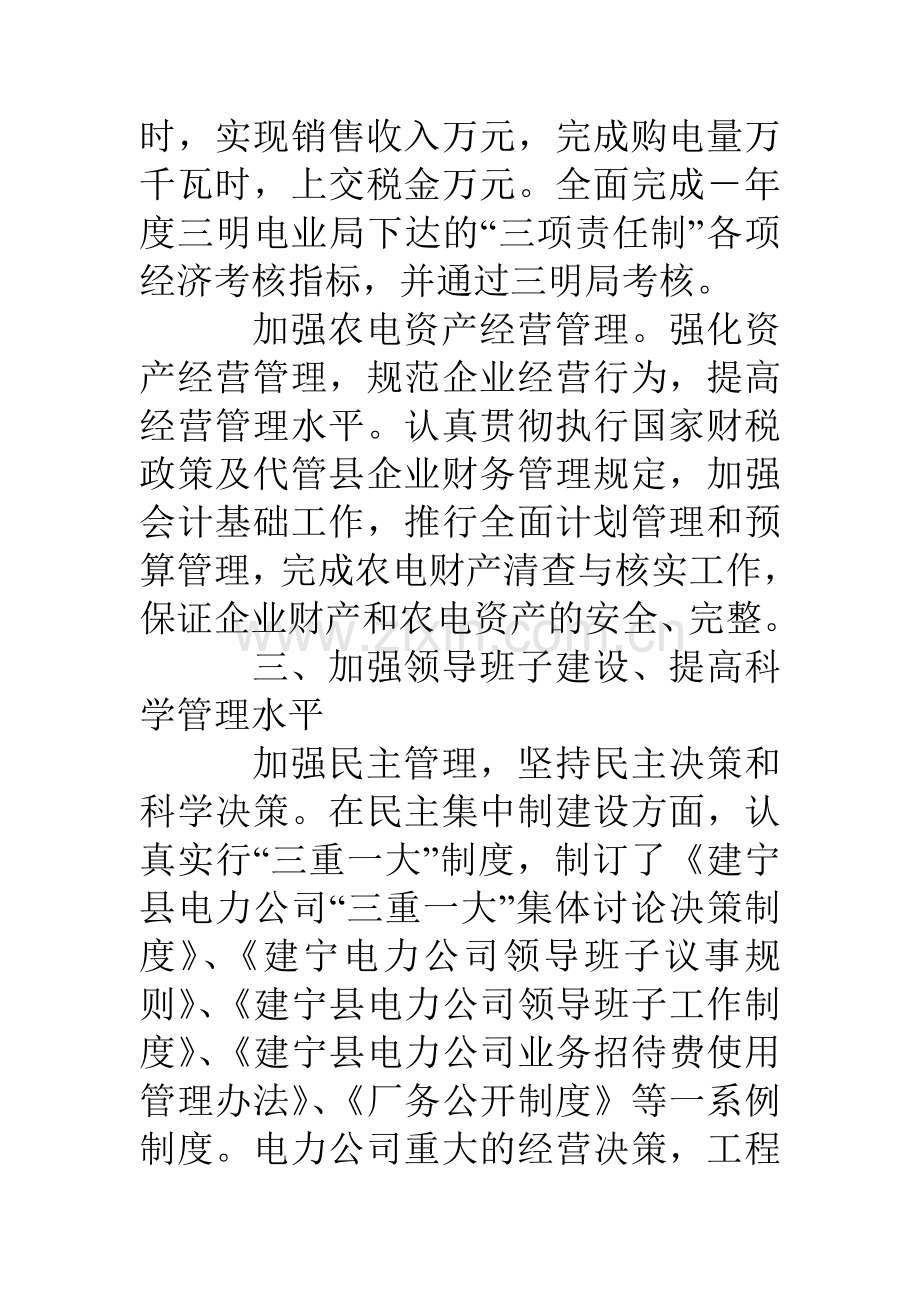 县电力公司领导班子述职报告.doc_第3页