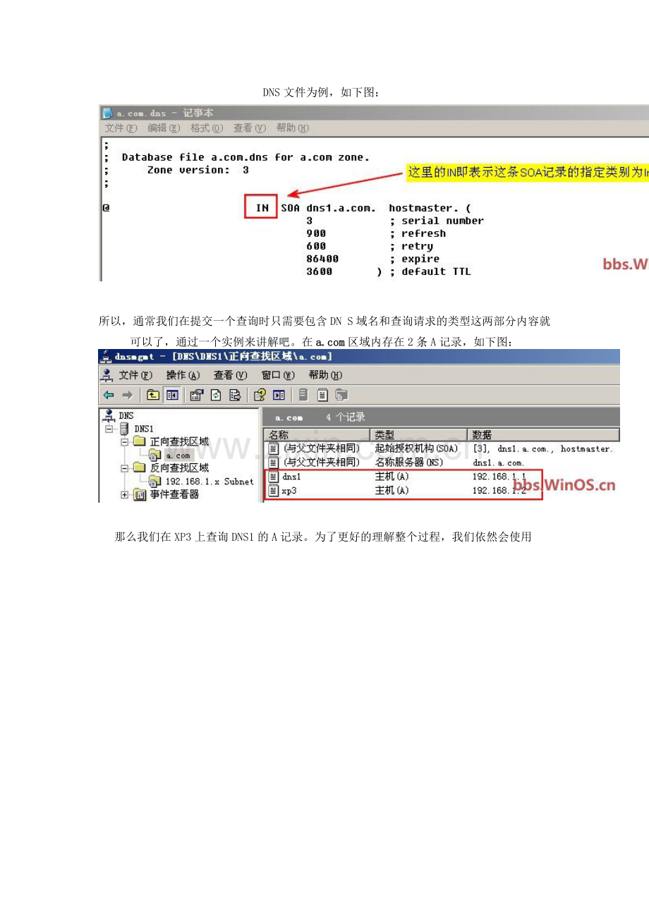 一起学DNS系列八DNS客户端查询过程.doc_第2页