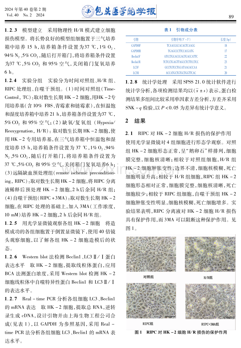 远隔缺血预处理分离液对人肾小管上皮细胞缺氧性损伤的保护作用.pdf_第3页