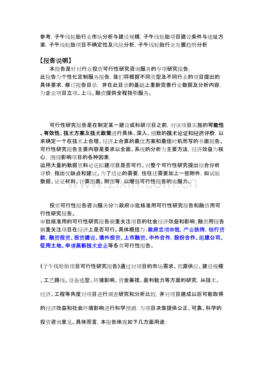 子午线轮胎项目可行性研究报告.doc_第2页