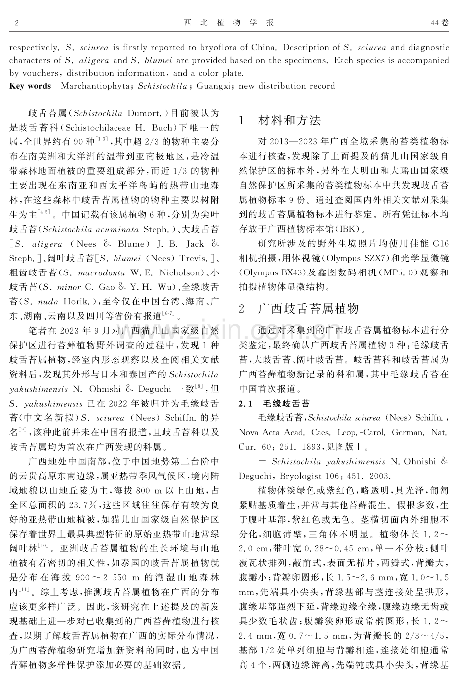 广西歧舌苔属植物研究及一中国新记录种毛缘歧舌苔.pdf_第2页