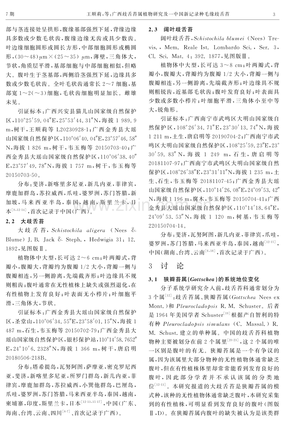 广西歧舌苔属植物研究及一中国新记录种毛缘歧舌苔.pdf_第3页