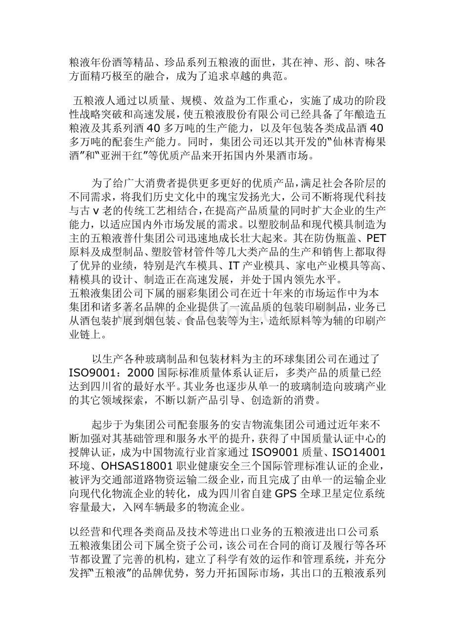 五粮液集团有限公司资产负债表分析.doc_第3页