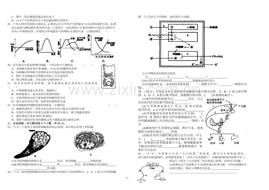 高考生物模拟试题三B.doc_第3页