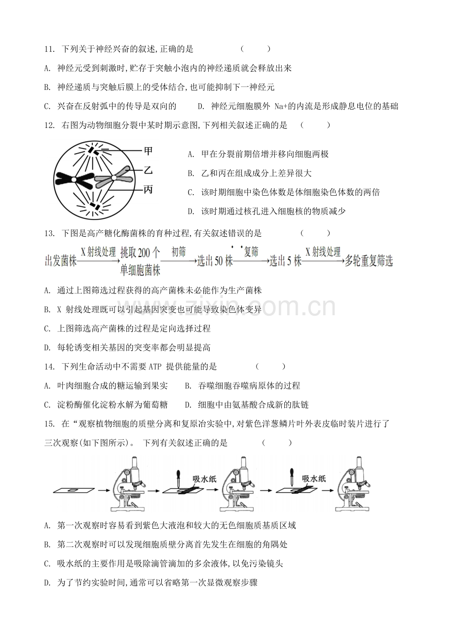 高考江苏卷生物Word版含解析答案.doc_第3页