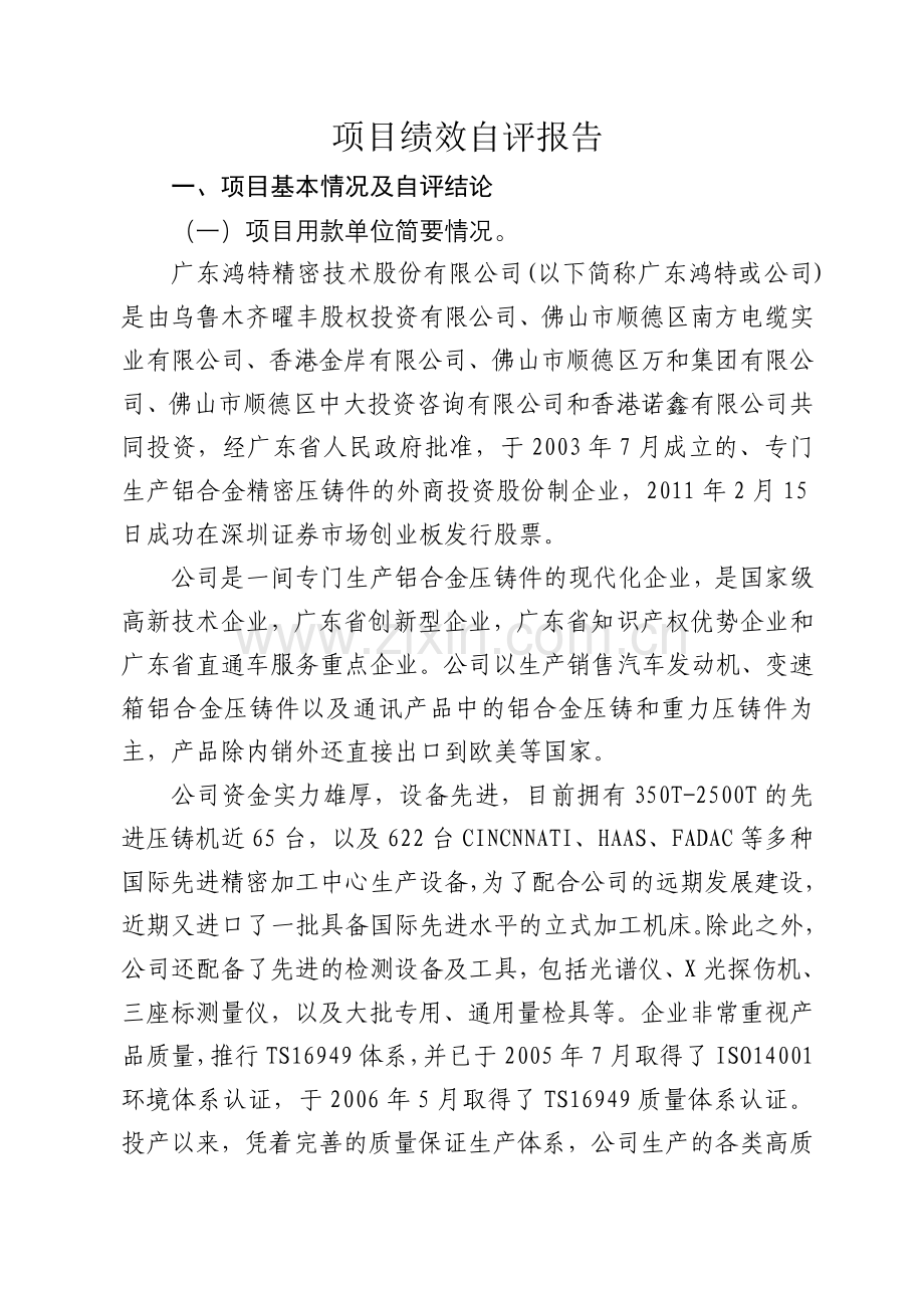 项目绩效评价报告鸿特.doc_第2页