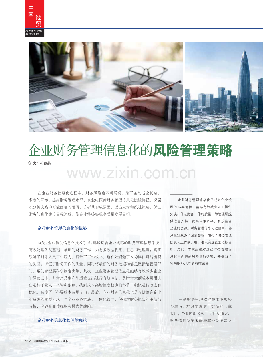 企业财务管理信息化的风险管理策略.pdf_第1页