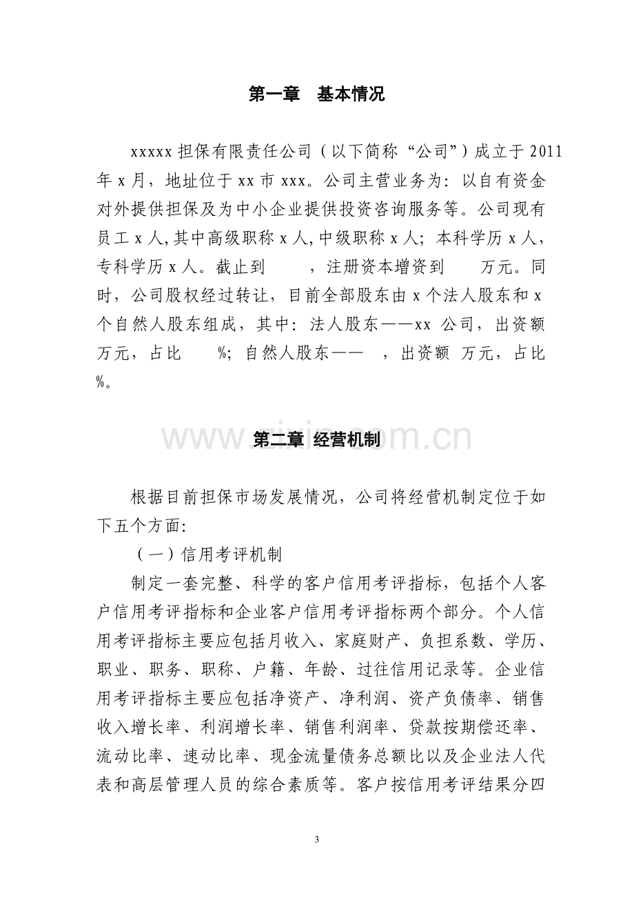 融资性担保公司经营发展战略和规划范本1.doc_第3页