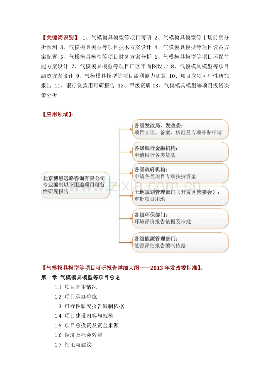 气模模具模型等项目可行性研究报告评审方案设计发改委标准案例范文.docx_第2页