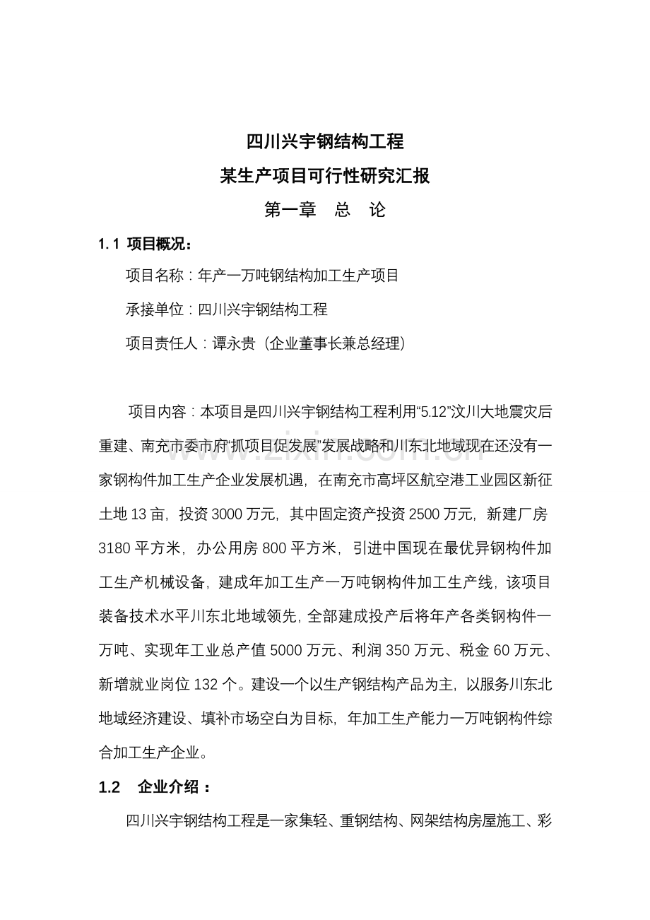 公司生产项目可行性研究报告样本.doc_第1页