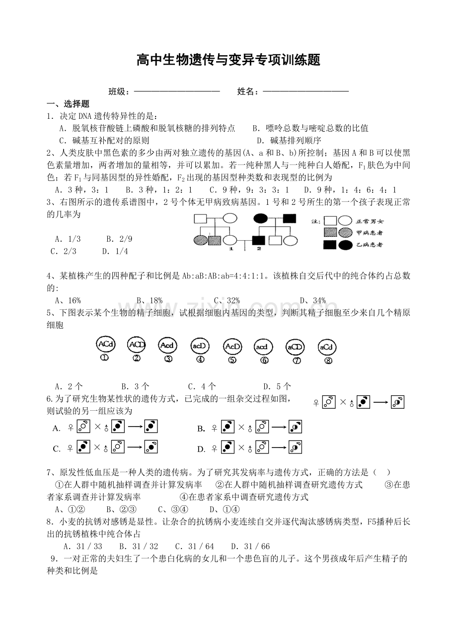 高中生物遗传与变异专题测试题总结.doc_第1页