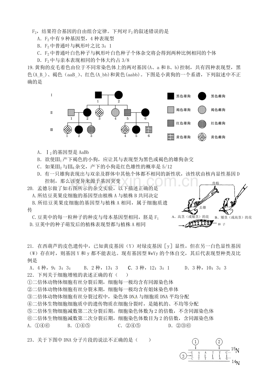 高中生物遗传与变异专题测试题总结.doc_第3页