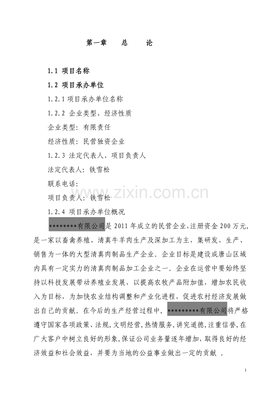 100万只肉羊屠宰项目可行性报告.doc_第1页