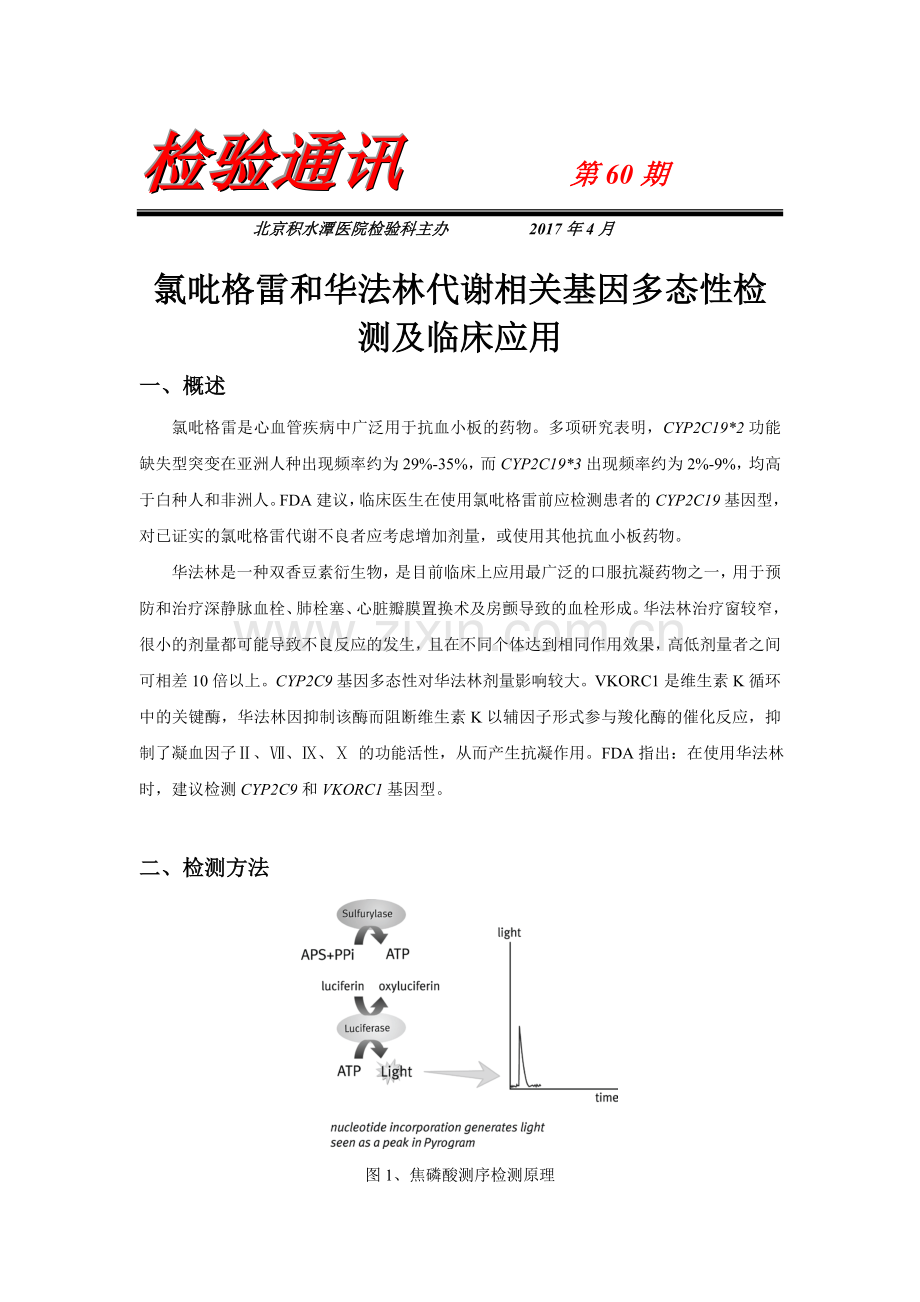 氯吡格雷和华法林代谢相关基因多态性检测及临床.doc_第1页