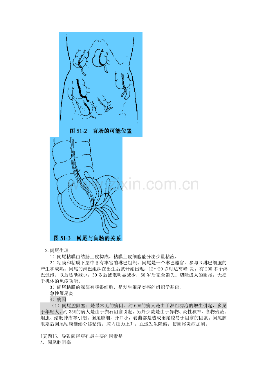 第十九单元阑尾炎.doc_第2页