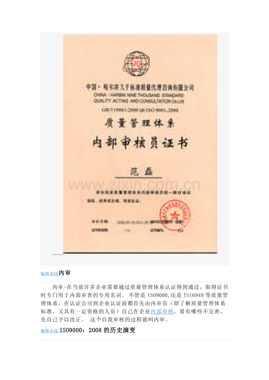 超全的内审员的相关材料.docx_第3页