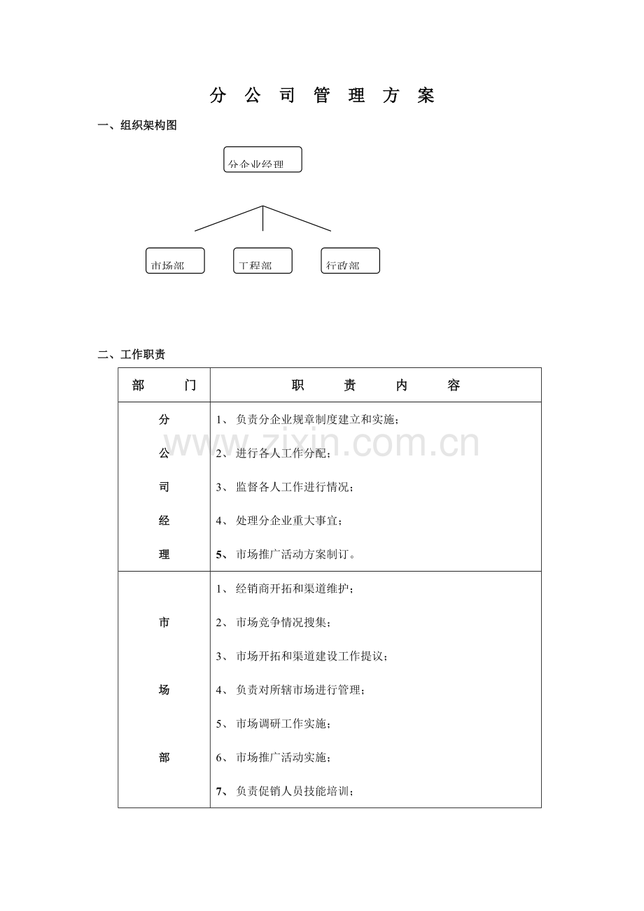 分公司管理方案分析模板样本.doc_第1页