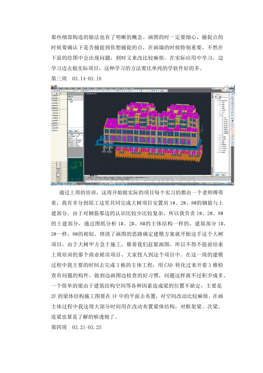 关于BIM毕业实习报告.docx_第3页