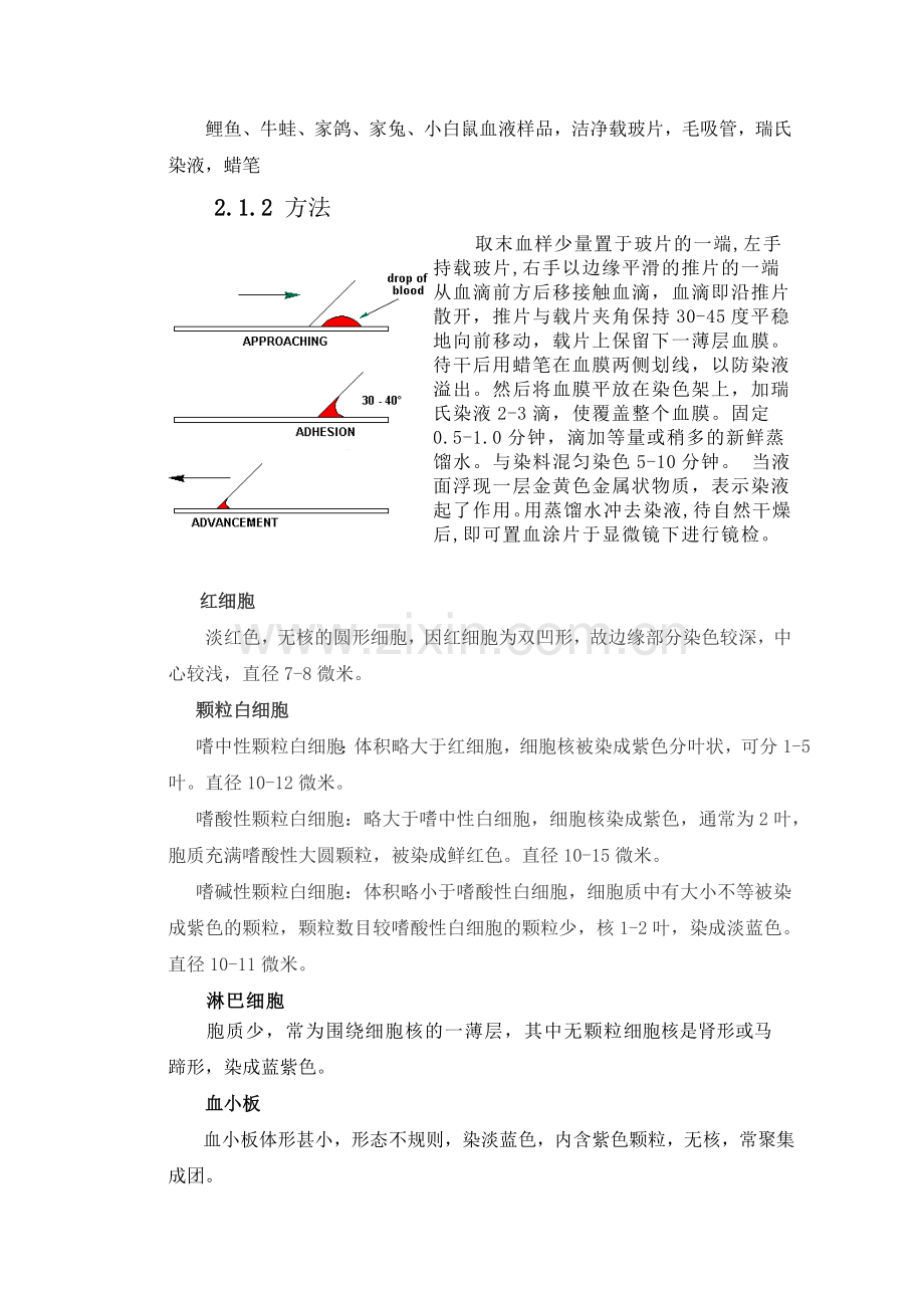 血液实验实验报告汇总.doc_第2页