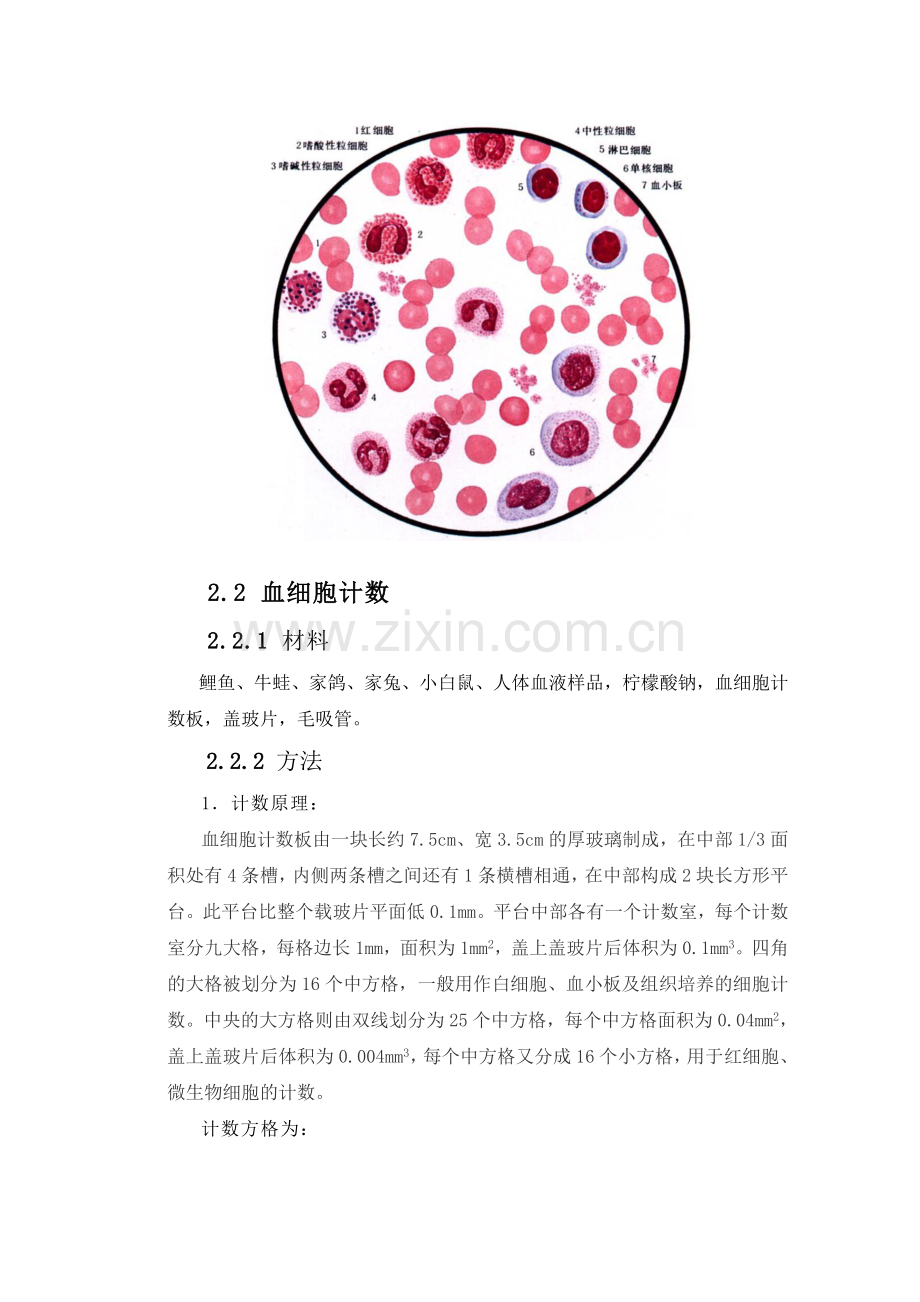 血液实验实验报告汇总.doc_第3页