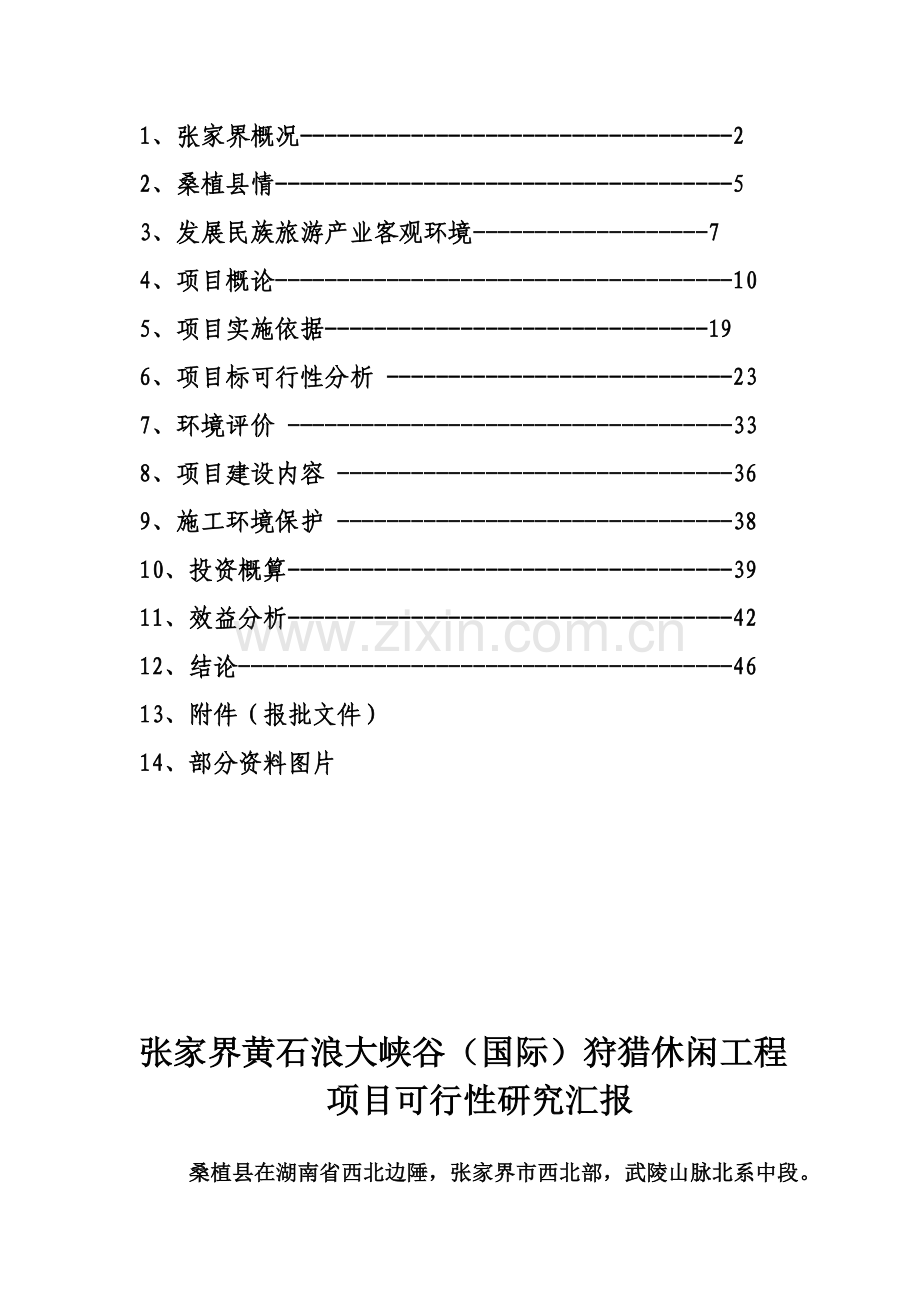 国际工程项目可行性研究报告样本.doc_第3页