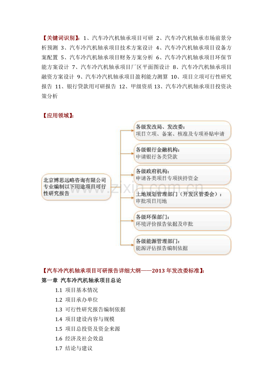 汽车冷汽机轴承项目可行性研究报告评审方案设计发改委标准案例范文.docx_第2页