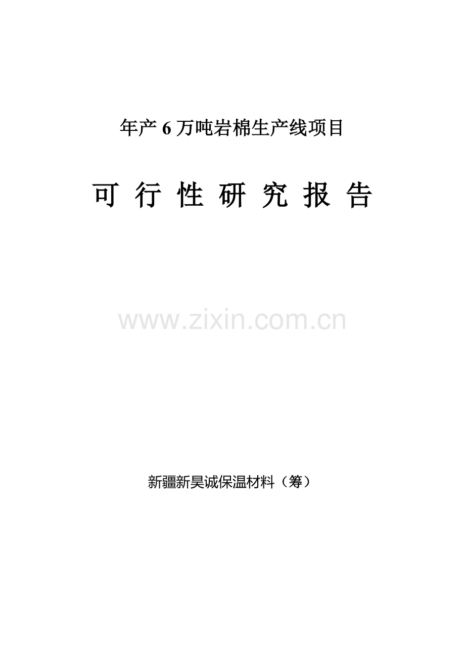 年产6万吨岩棉生产线项目可行性研究报告样本.doc_第1页