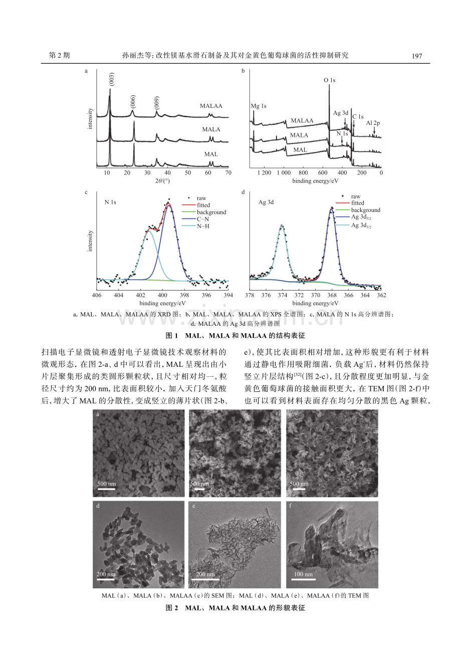 改性镁基水滑石制备及其对金黄色葡萄球菌的活性抑制研究.pdf_第3页