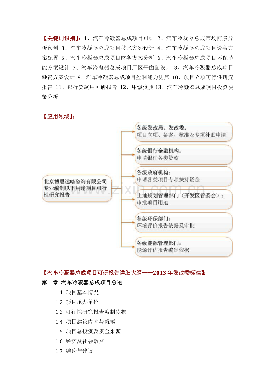 汽车冷凝器总成项目可行性研究报告评审方案设计发改委标准案例范文.docx_第2页