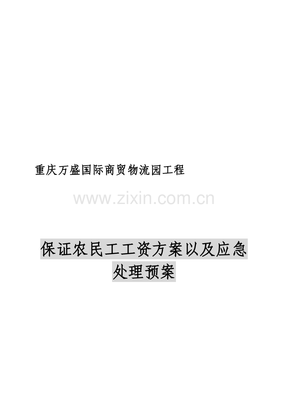 保证农民工工资方案以及应急处理预案(1)资料.doc_第1页