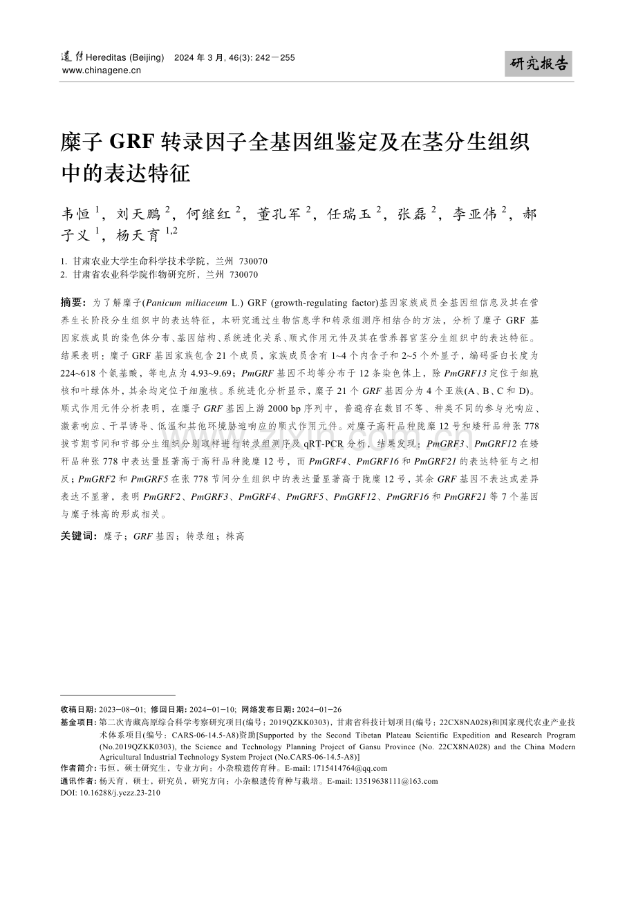 糜子GRF转录因子全基因组鉴定及在茎分生组织中的表达特征.pdf_第1页