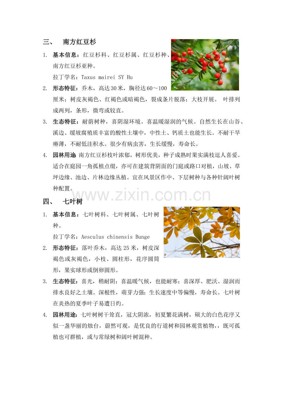 园林植物学常见乔木灌木地被植物.docx_第2页