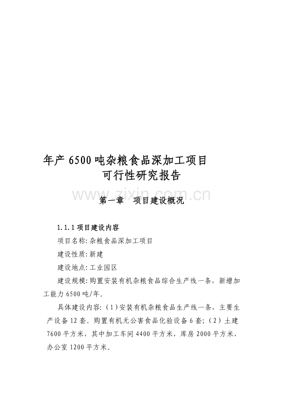 年产6500吨杂粮食品深加工建设项目可行研究报告.doc_第1页