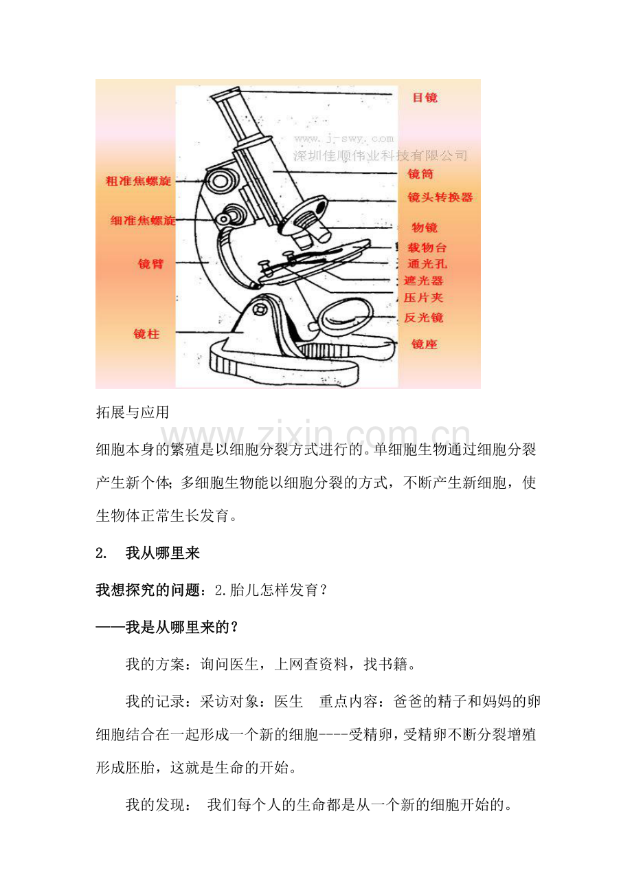 青岛版六年级下册科学基础训练-答案(全)教学文案.doc_第2页