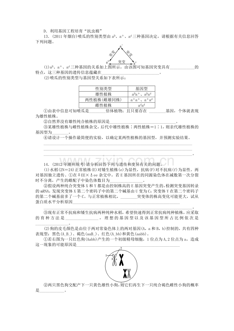 【南方新课堂】高考生物总复习-第5章-第1节-基因突变和基因重组课时作业(含解析)新人教版必修2收集资料.doc_第3页