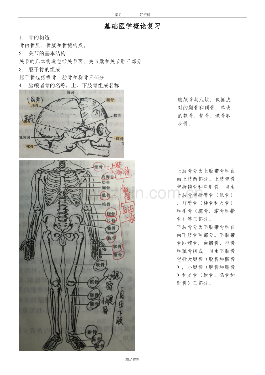 基础医学概论复习培训课件.doc_第2页