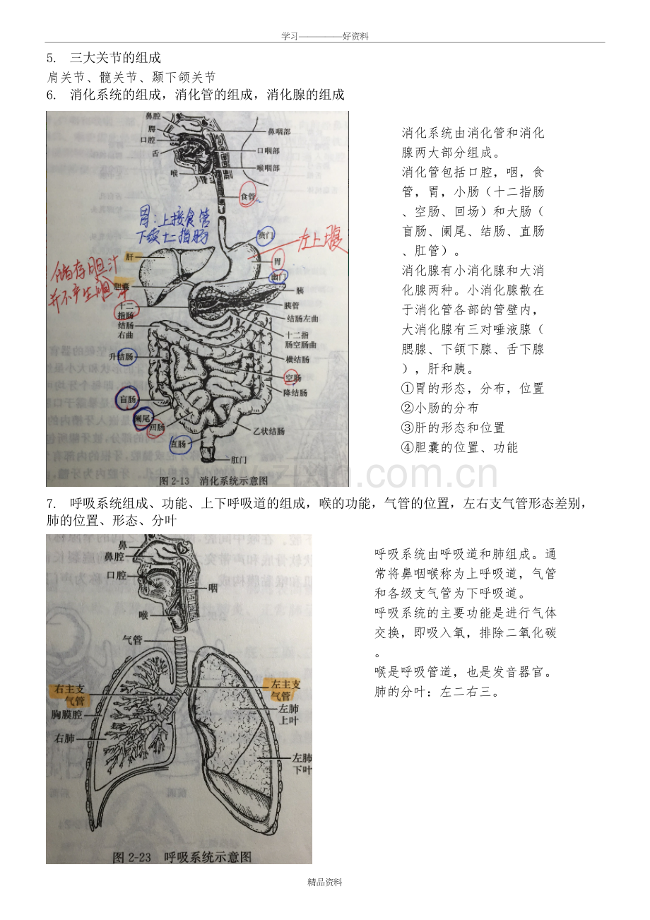 基础医学概论复习培训课件.doc_第3页