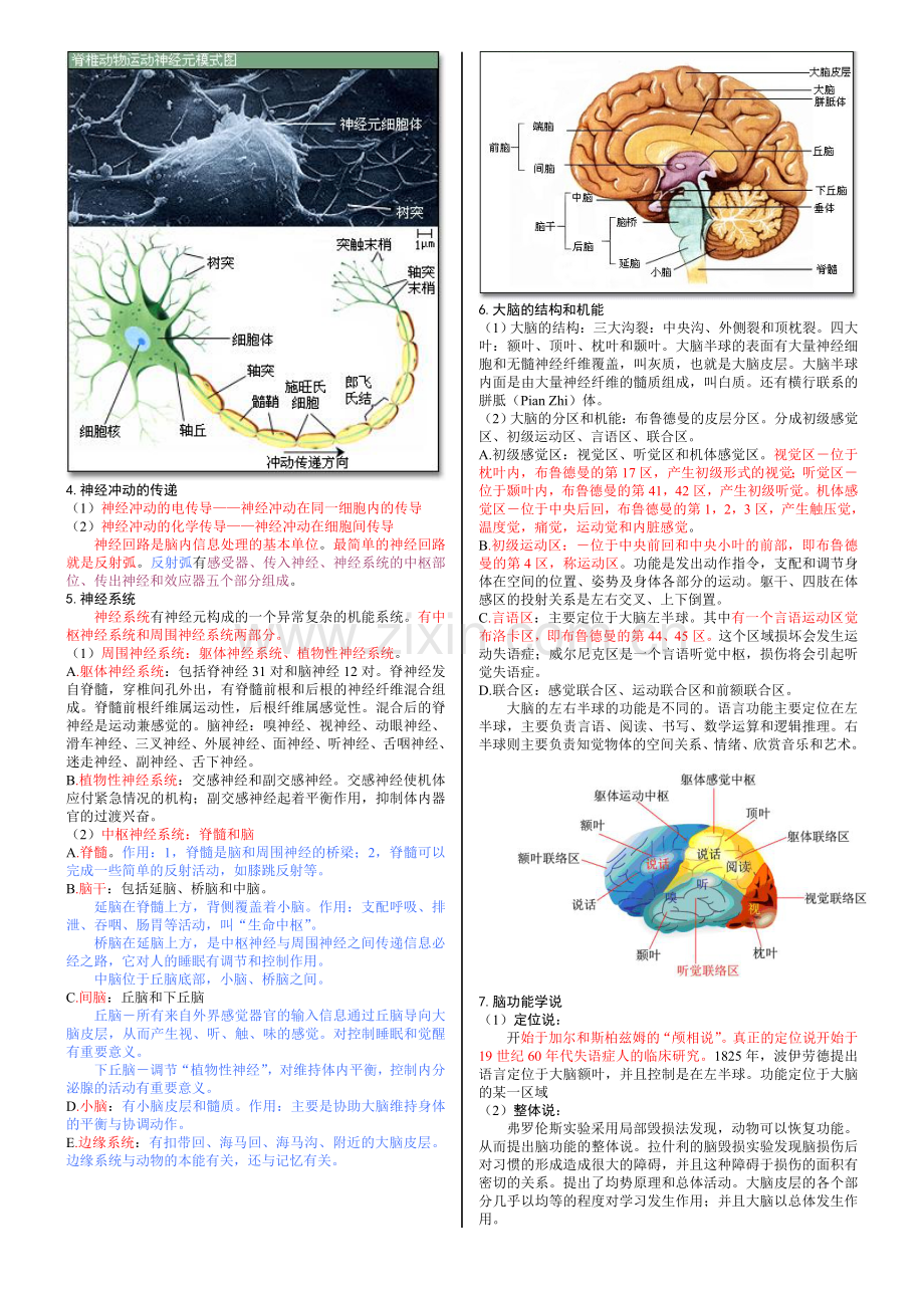 普通心理学笔记背诵版(彭聃龄).doc_第3页