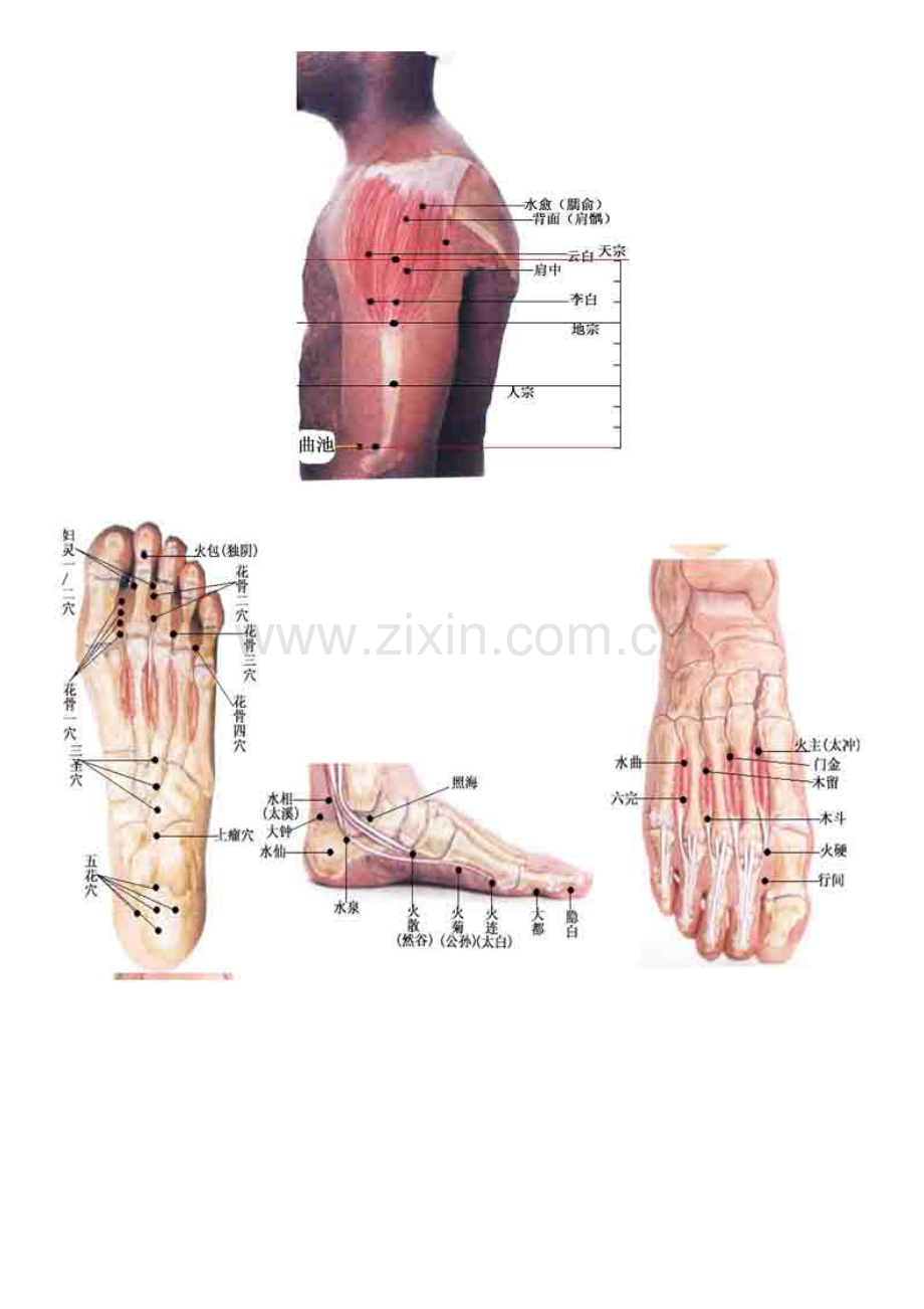 董氏针灸彩色穴位图最全收集(董氏奇穴)-董氏针灸.doc_第3页