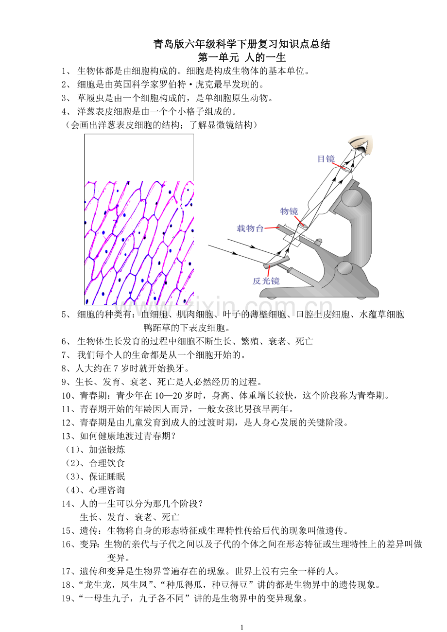 青岛版六年级下册科学(全册)知识点总结及试题29479教学提纲.doc_第1页