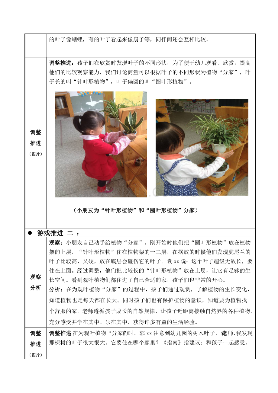 小班欣赏活动区游戏：美丽的植物角.doc_第2页