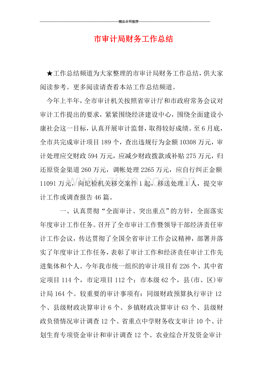 市审计局财务工作总结.doc_第1页