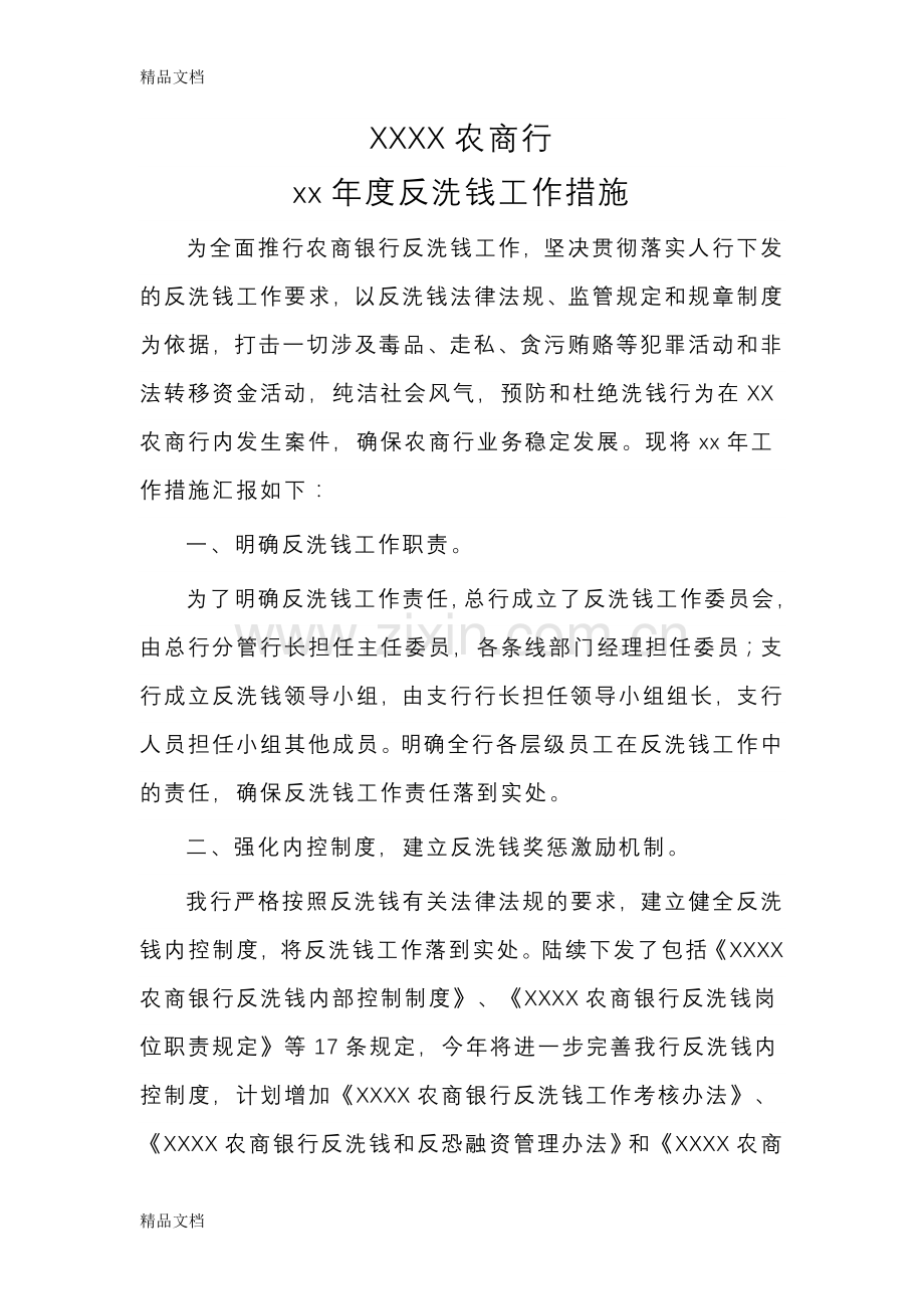 XX银行反洗钱工作计划资料讲解.doc_第1页