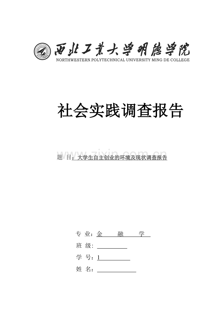 大学生自主创业的环境及现状调查报告模板资料.doc_第1页