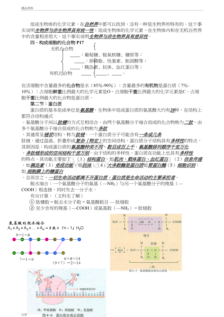 生物知识点汇编电子版本.doc_第3页